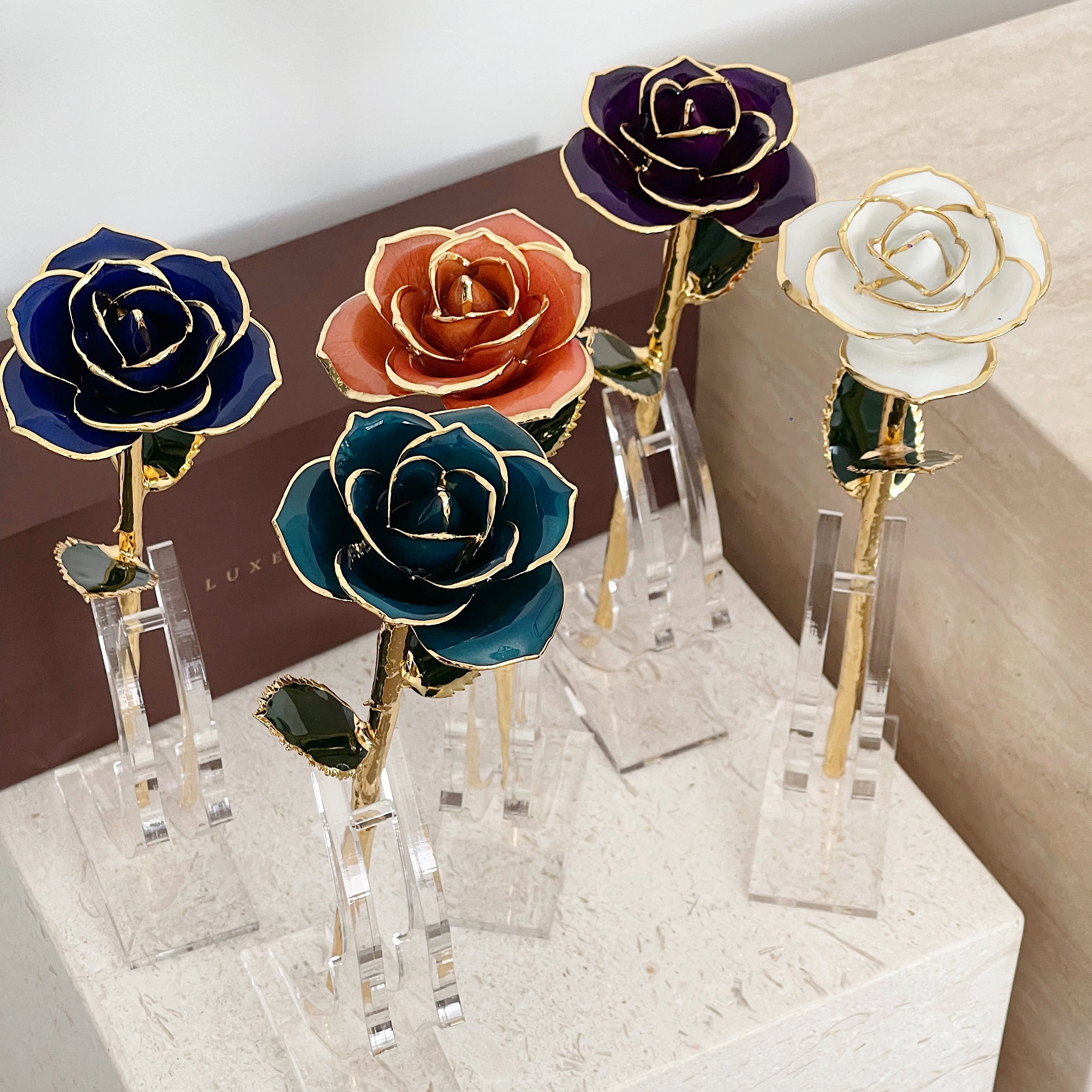 24K Gold Forever Rose - Black