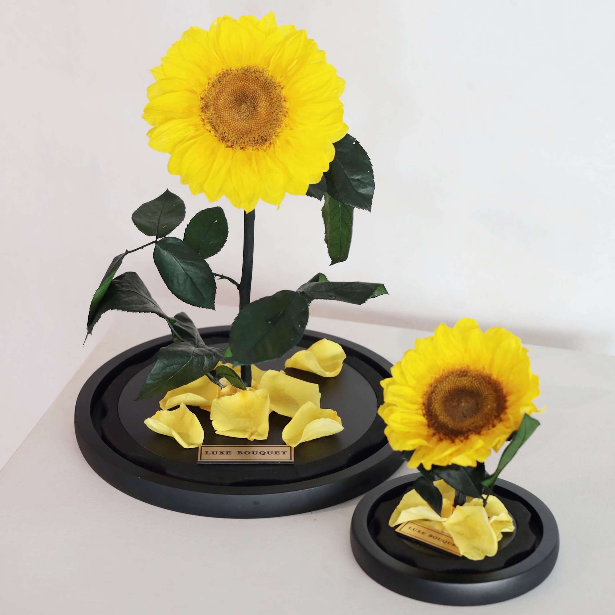 http://luxebouquet.com.au/cdn/shop/collections/forever-sunflowers-477045.jpg?v=1673234180