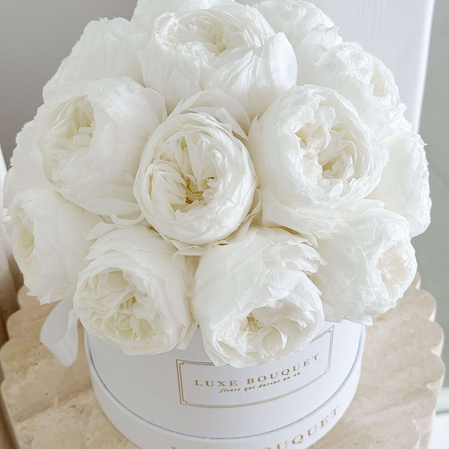 Everlasting Peony Box - White (Sydney Delivery Only) - Luxe Bouquet roses that last a year