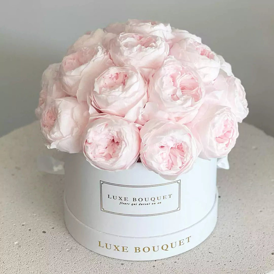 Everlasting Peony Box - Pink (SYDNEY DELIVERY ONLY) - Luxe Bouquet roses that last a year