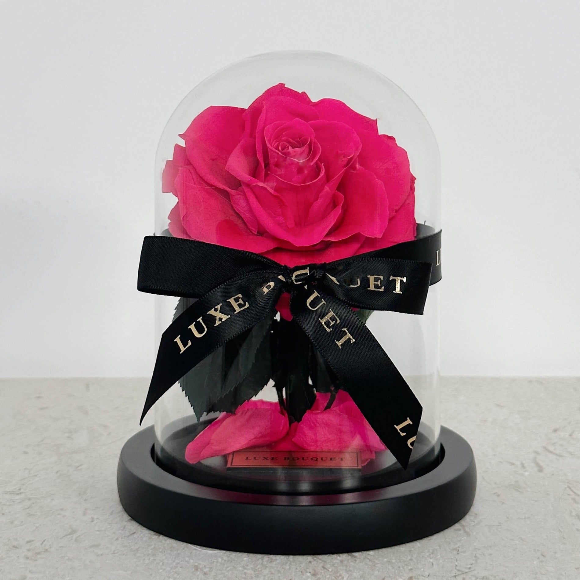 Mini Everlasting Rose Dome - Fuchsia