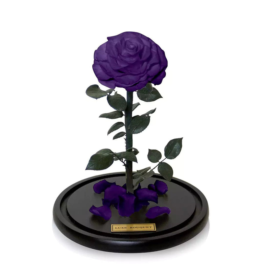 The Everlasting Rose - Purple - Luxe Bouquet roses that last a year