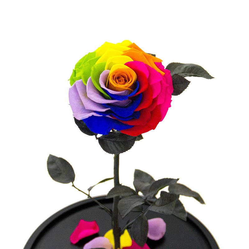 The Everlasting Rose - Rainbow - Luxe Bouquet roses that last a year