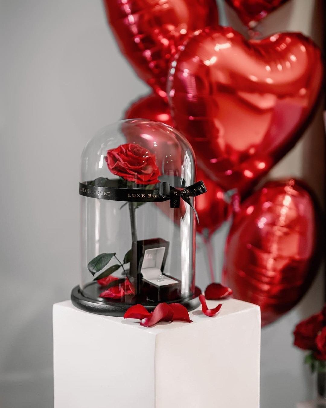 Everlasting Roses Sydney