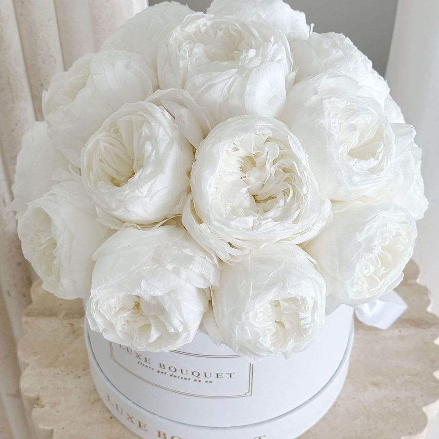 Everlasting Peony Box - White (Sydney Delivery Only) - Luxe Bouquet roses that last a year