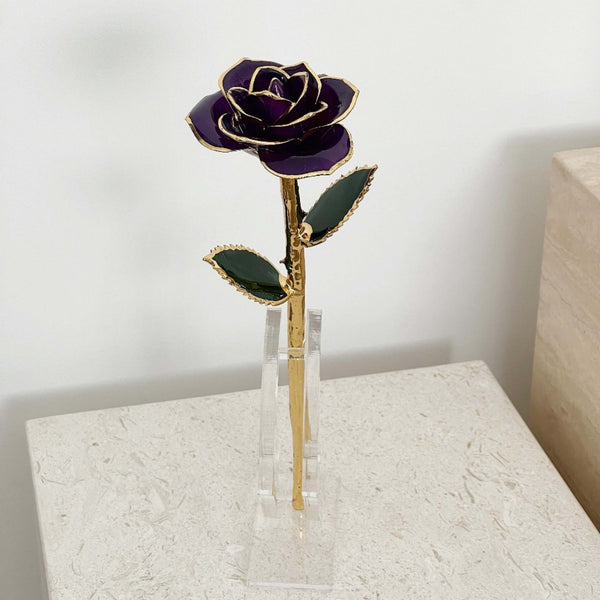 24K Gold Forever Rose - Black