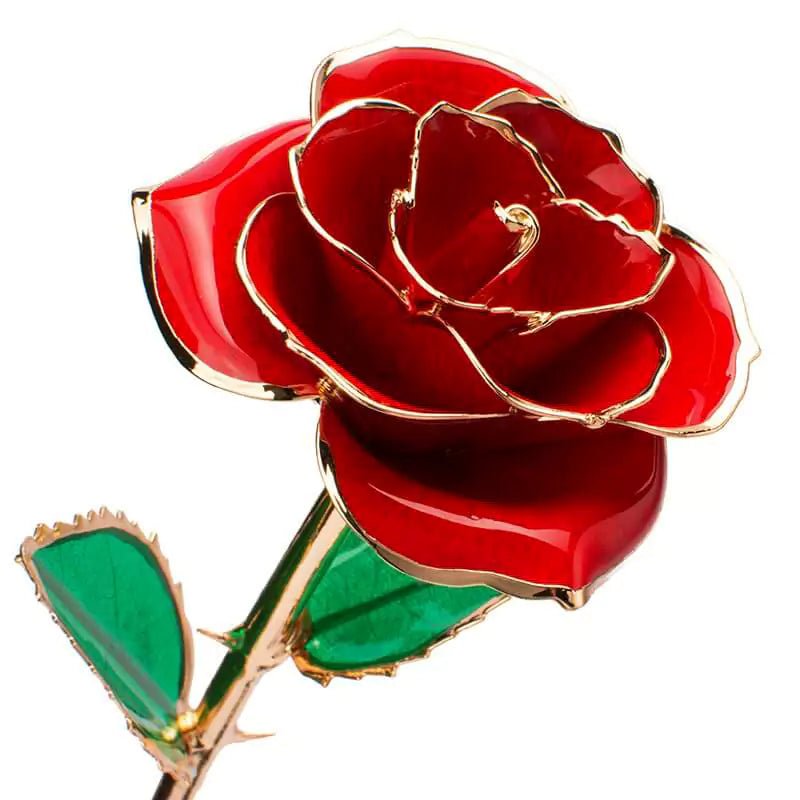 24K Gold Dipped Rose | Red
