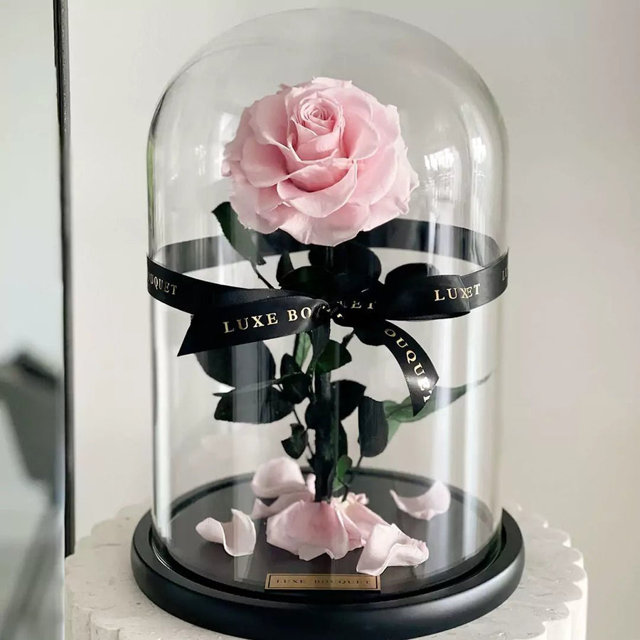 The Everlasting Rose - Pink - Luxe Bouquet roses that last a year