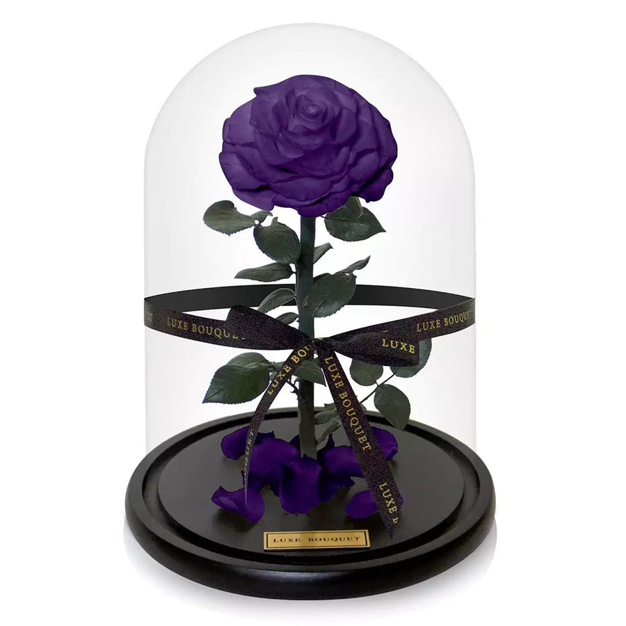 The Everlasting Rose - Purple - Luxe Bouquet roses that last a year