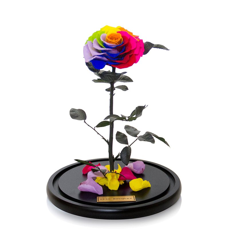 The Everlasting Rose - Rainbow - Luxe Bouquet roses that last a year