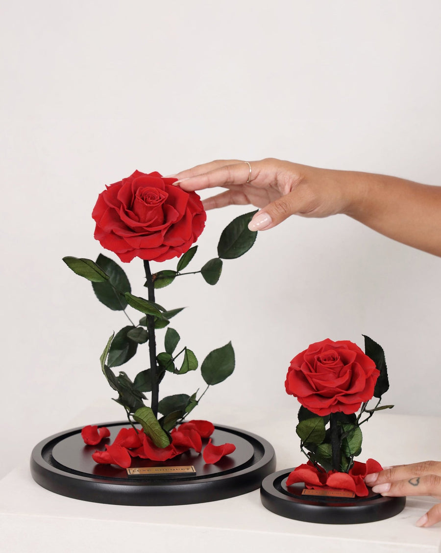 The Everlasting Rose Dome - Red